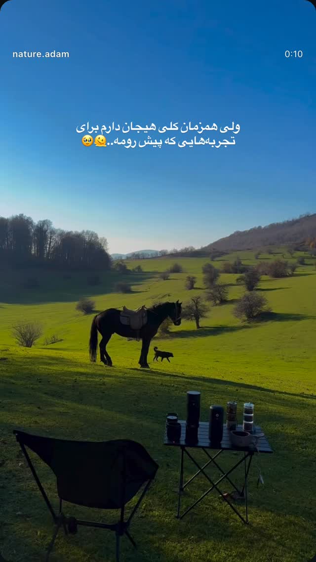  جدید ترین استوری اینستاگرام فروغ عباسی