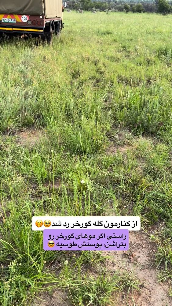  جدید ترین استوری اینستاگرام فروغ عباسی