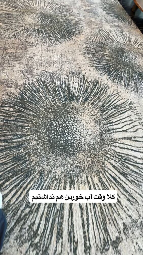  جدید ترین استوری اینستاگرام فروغ عباسی