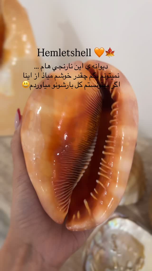  جدید ترین استوری اینستاگرام فوژان