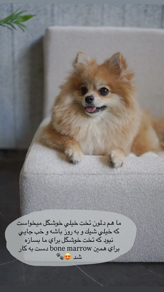  جدید ترین استوری اینستاگرام فوژان