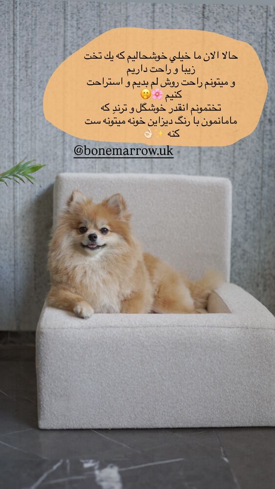  جدید ترین استوری اینستاگرام فوژان