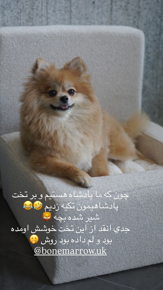  جدید ترین استوری اینستاگرام فوژان