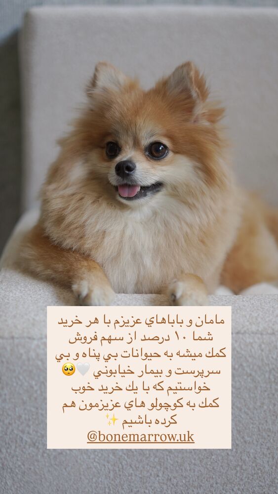  جدید ترین استوری اینستاگرام فوژان