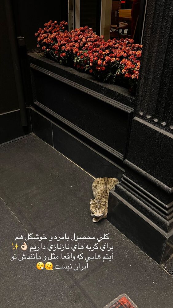 جدید ترین استوری اینستاگرام فوژان