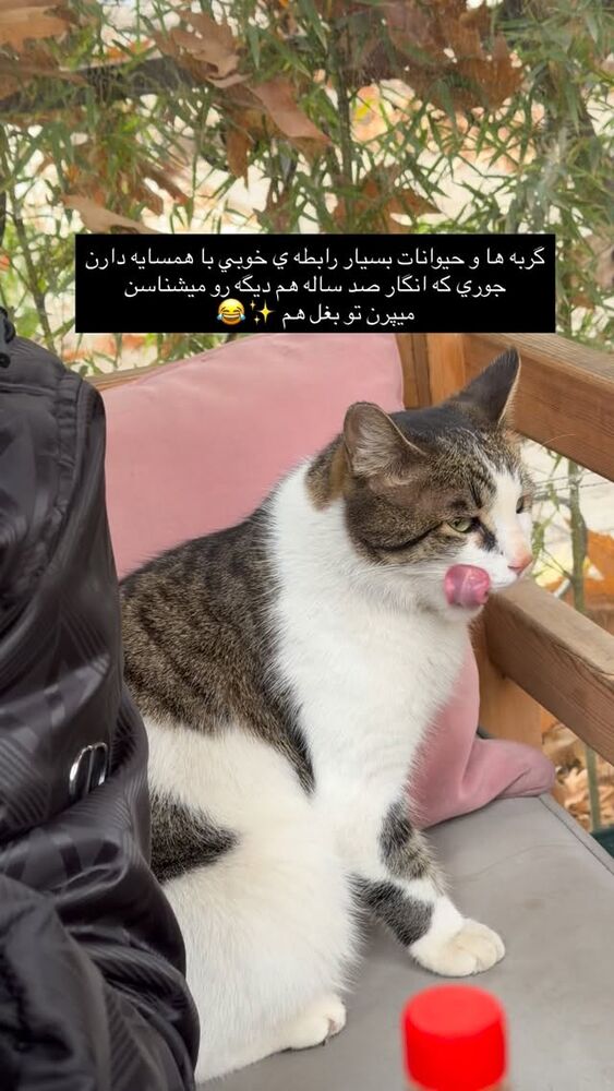  جدید ترین استوری اینستاگرام فوژان