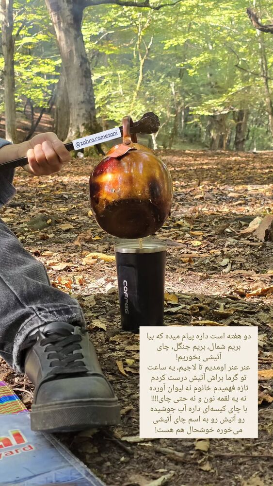  جدید ترین استوری اینستاگرام فاطمه سادات بکائی