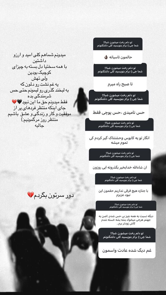  جدید ترین استوری اینستاگرام فرناز
