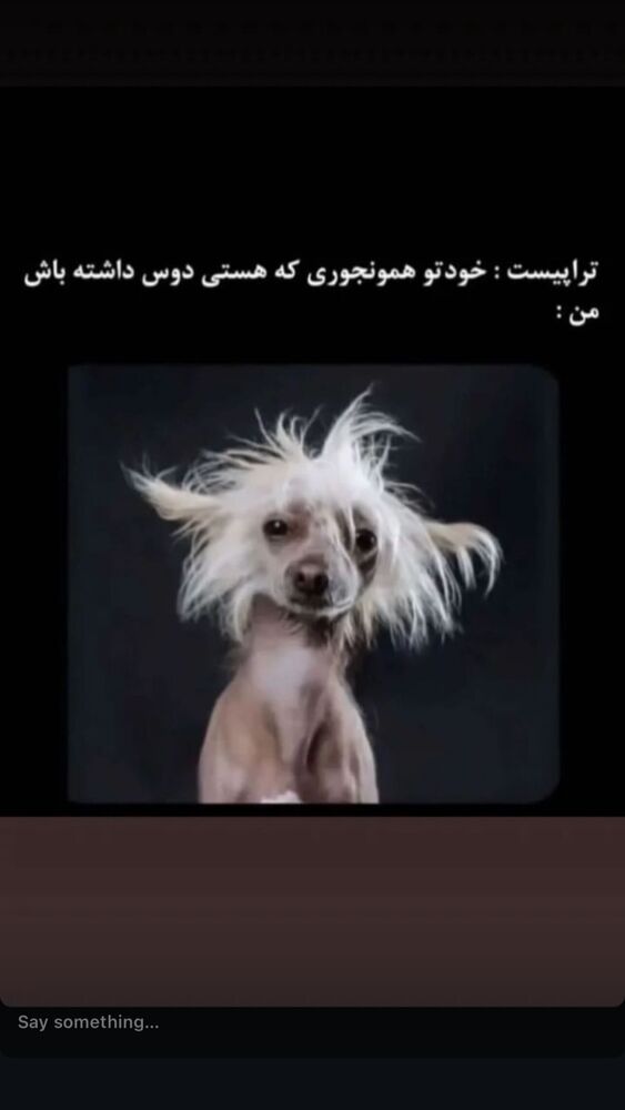  جدید ترین استوری اینستاگرام گندم گیلک