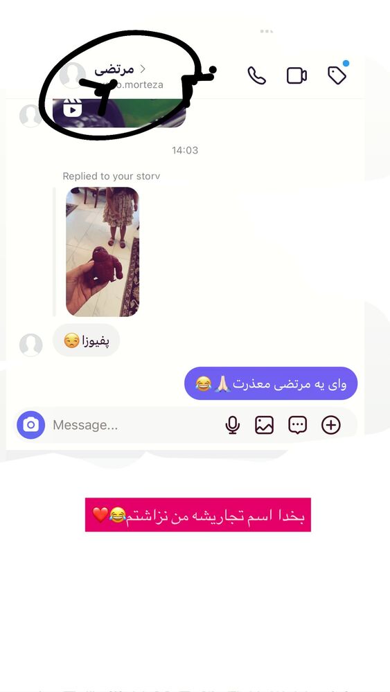  جدید ترین استوری اینستاگرام گندم گیلک