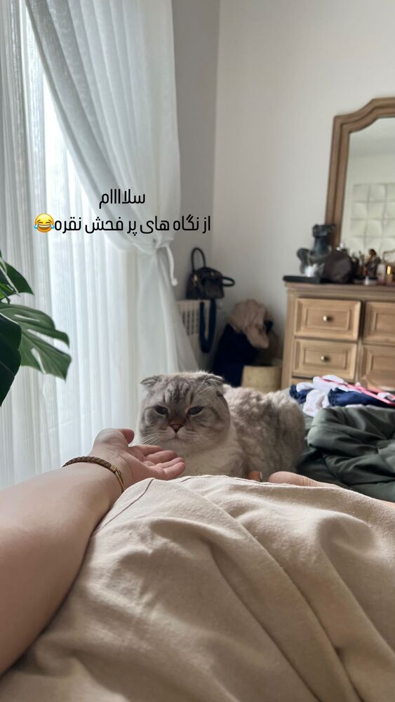  جدید ترین استوری اینستاگرام گندم گیلک