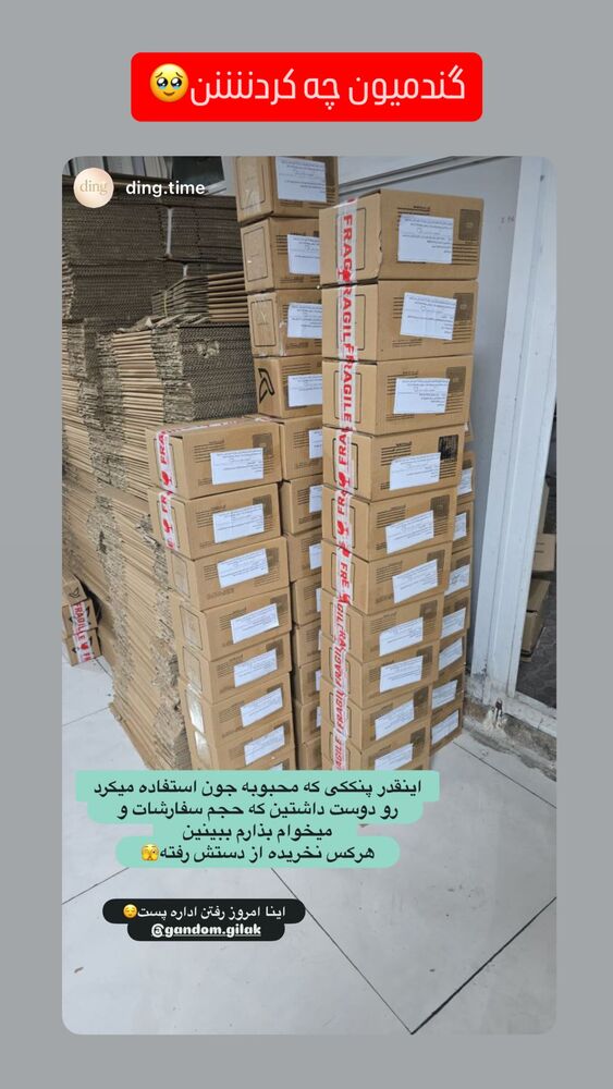  جدید ترین استوری اینستاگرام گندم گیلک