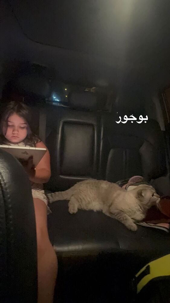  جدید ترین استوری اینستاگرام گندم گیلک