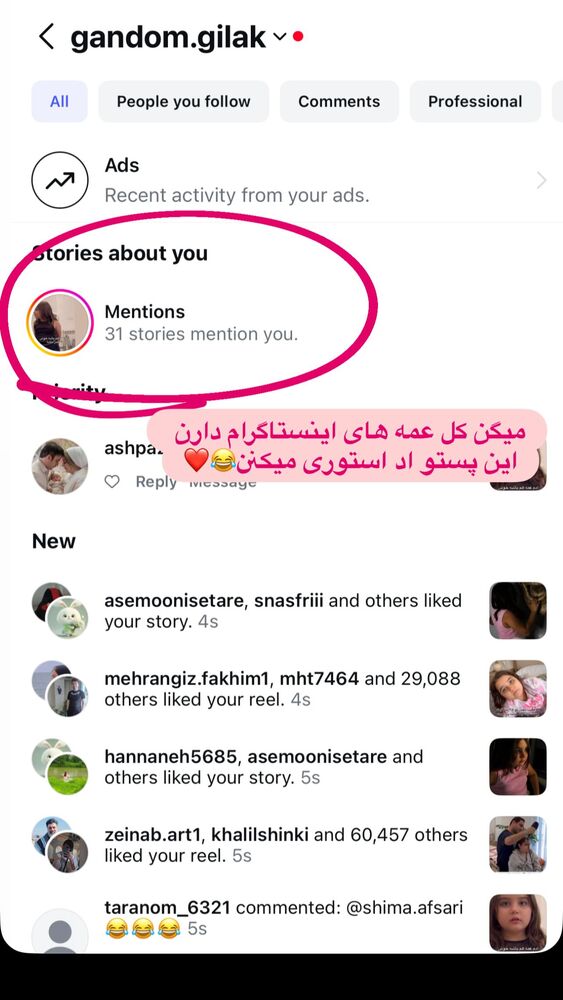  جدید ترین استوری اینستاگرام گندم گیلک
