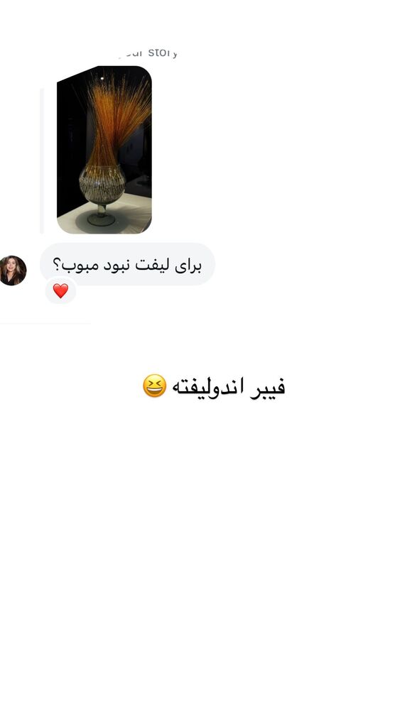  جدید ترین استوری اینستاگرام گندم گیلک