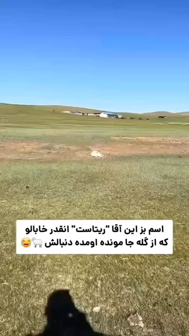  جدید ترین استوری اینستاگرام گندم گیلک