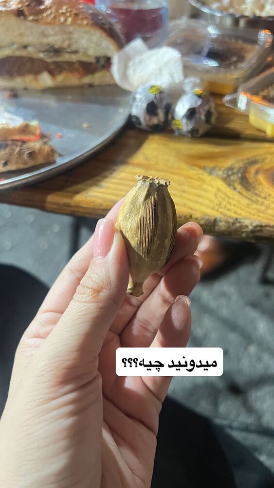  جدید ترین استوری اینستاگرام گندم گیلک