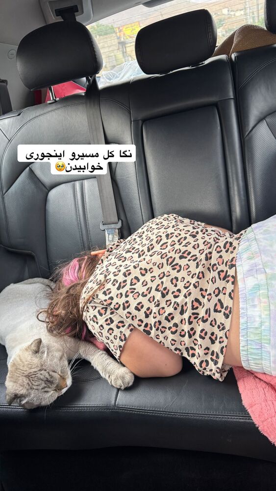  جدید ترین استوری اینستاگرام گندم گیلک