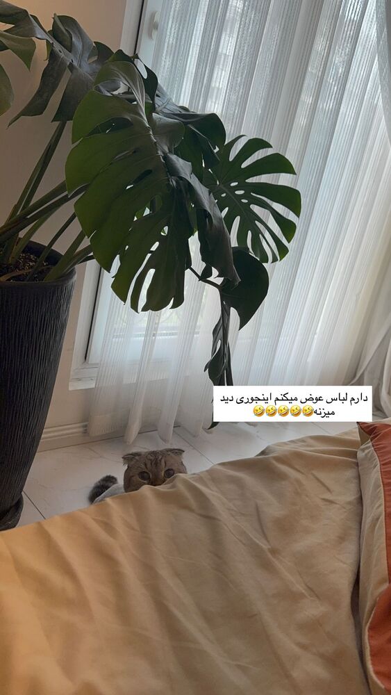  جدید ترین استوری اینستاگرام گندم گیلک