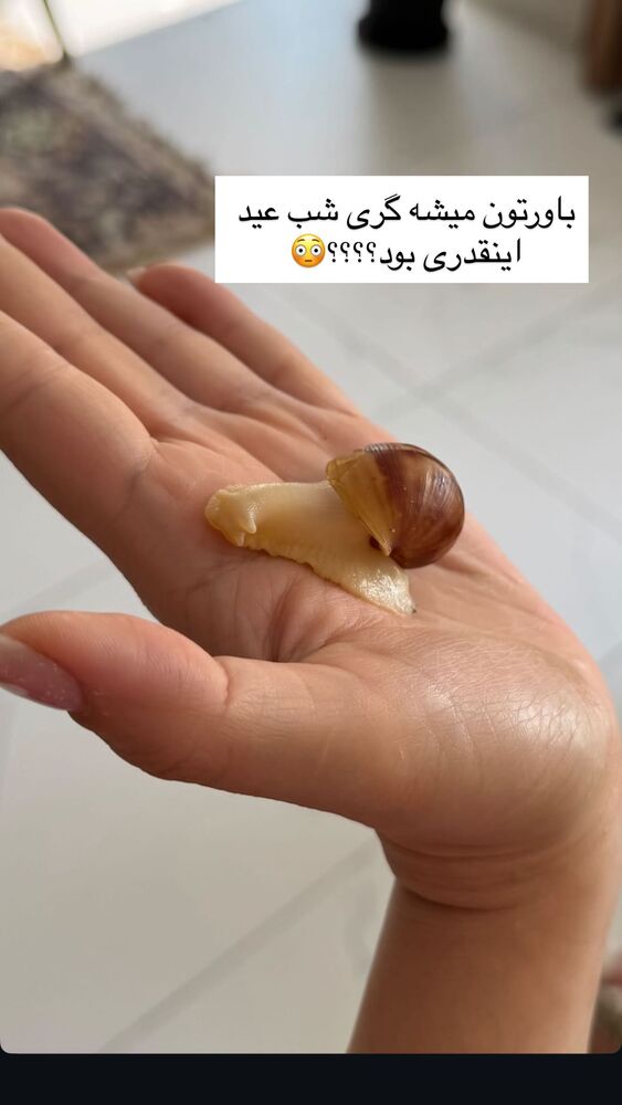  جدید ترین استوری اینستاگرام گندم گیلک