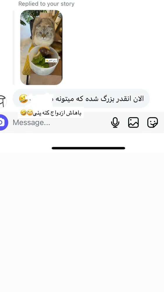  جدید ترین استوری اینستاگرام گندم گیلک
