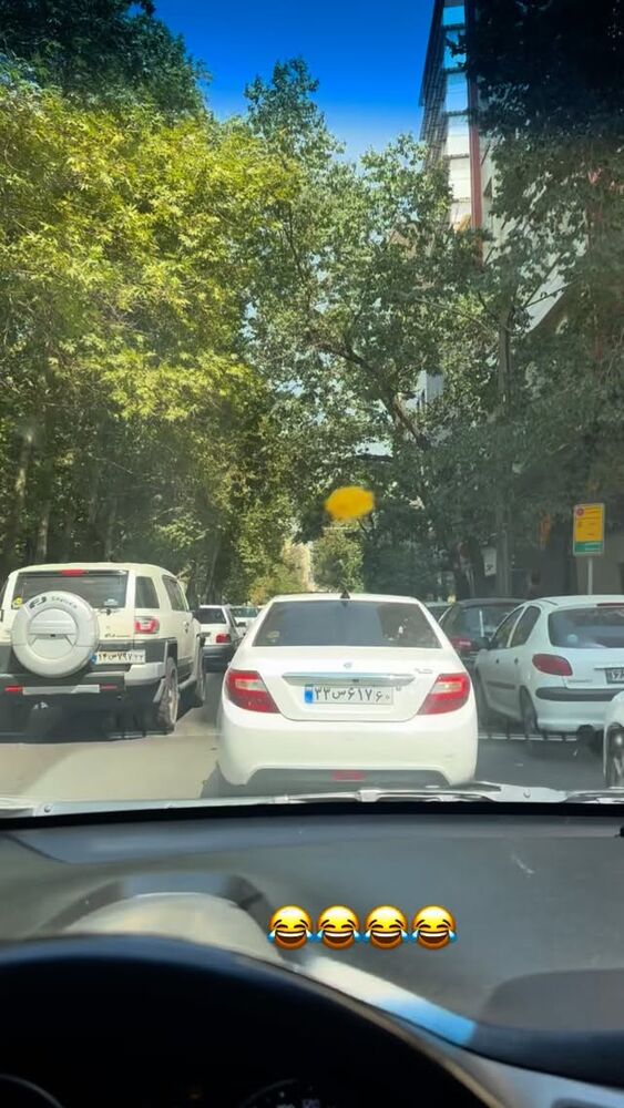  جدید ترین استوری اینستاگرام گندم گیلک
