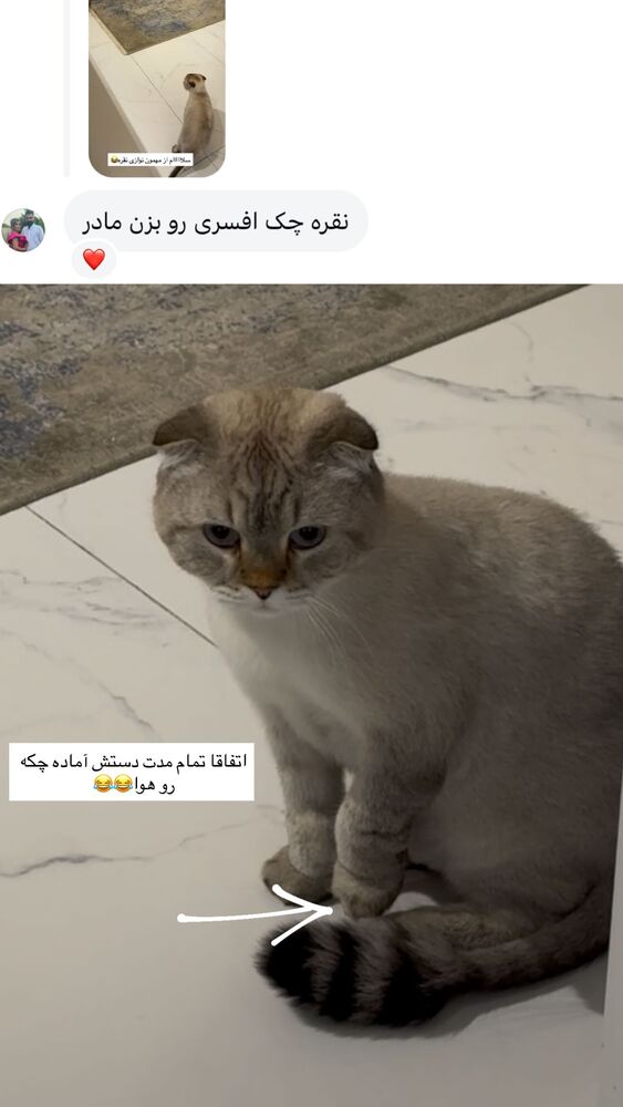  جدید ترین استوری اینستاگرام گندم گیلک
