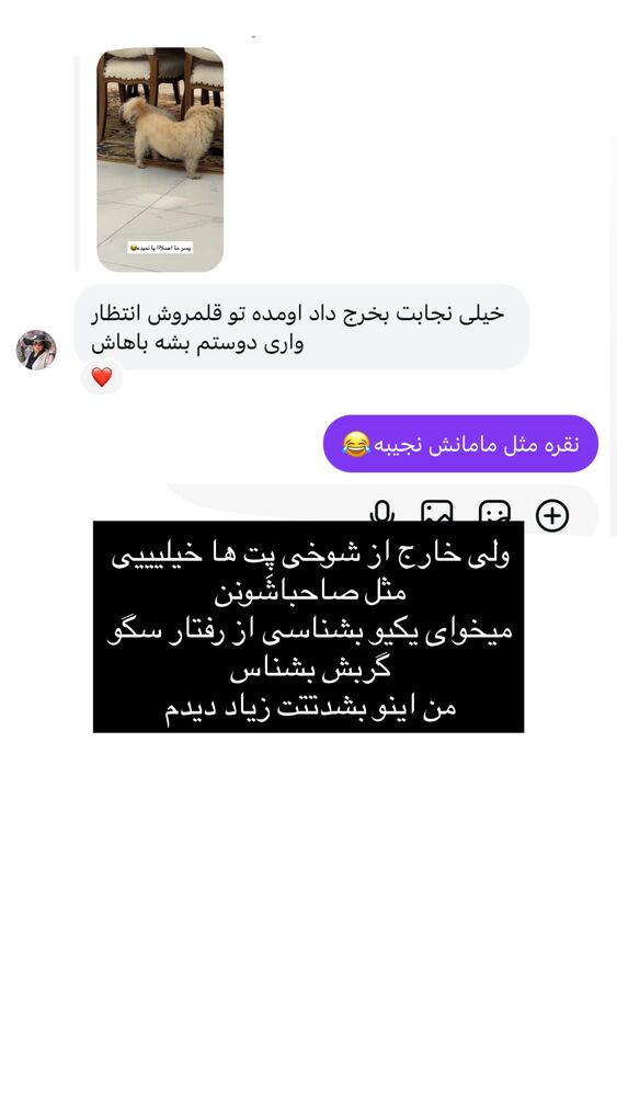  جدید ترین استوری اینستاگرام گندم گیلک