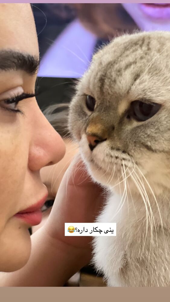  جدید ترین استوری اینستاگرام گندم گیلک