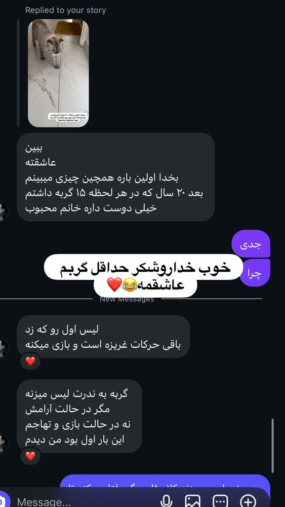  جدید ترین استوری اینستاگرام گندم گیلک