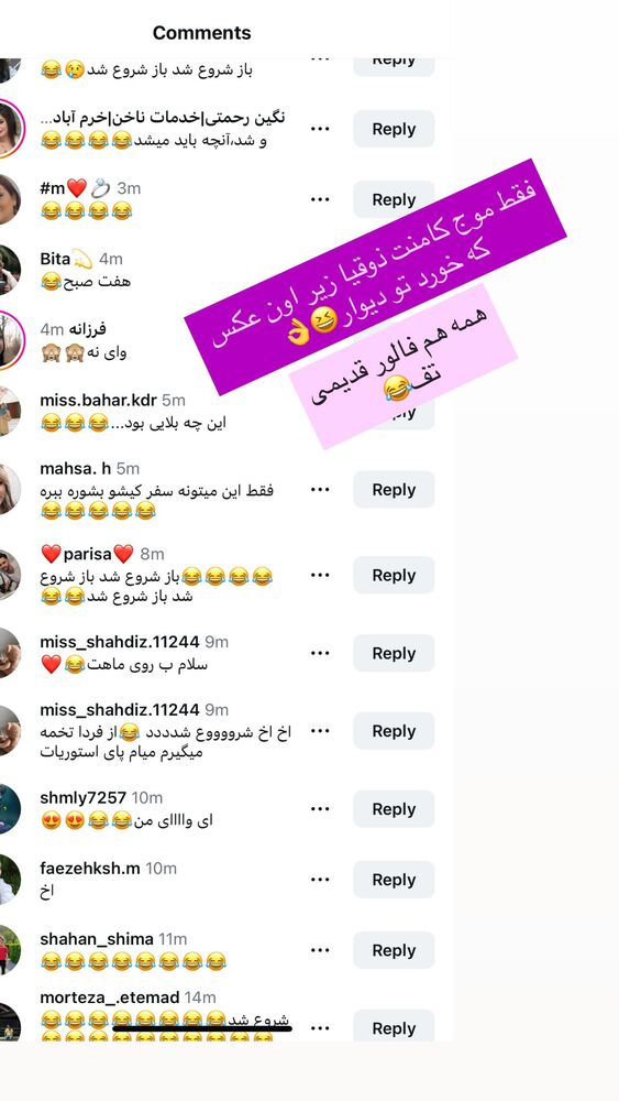  جدید ترین استوری اینستاگرام گندم گیلک
