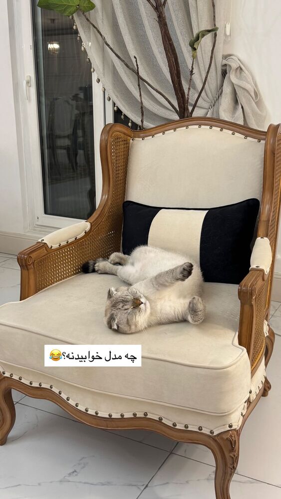  جدید ترین استوری اینستاگرام گندم گیلک