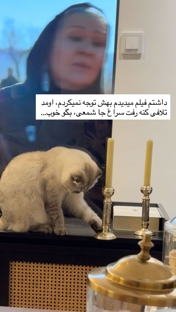  جدید ترین استوری اینستاگرام گندم گیلک