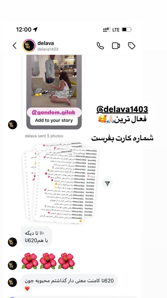  جدید ترین استوری اینستاگرام گندم گیلک