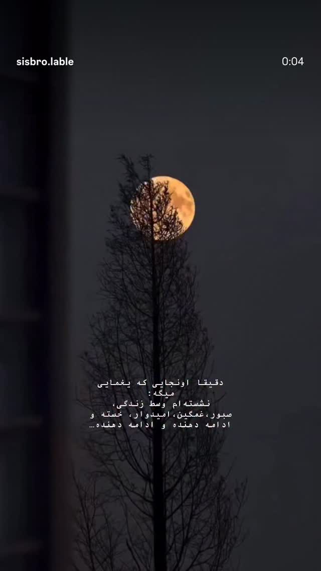  جدید ترین استوری اینستاگرام گندم گیلک