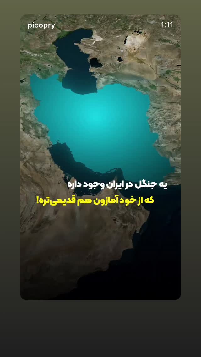  جدید ترین استوری اینستاگرام گرشا رضایی