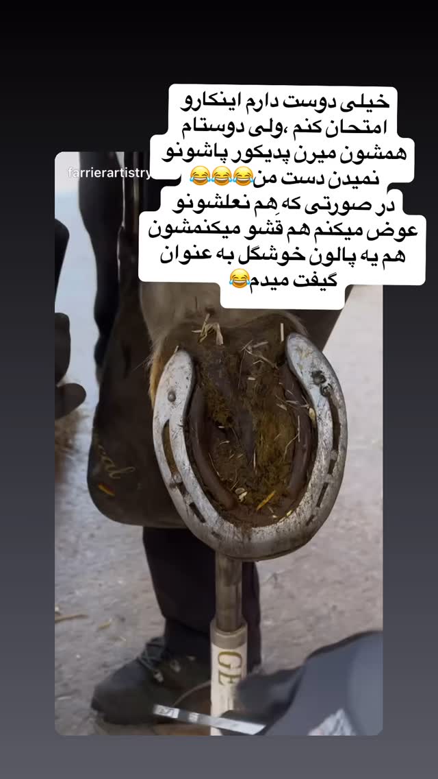  جدید ترین استوری اینستاگرام گلاره مهری