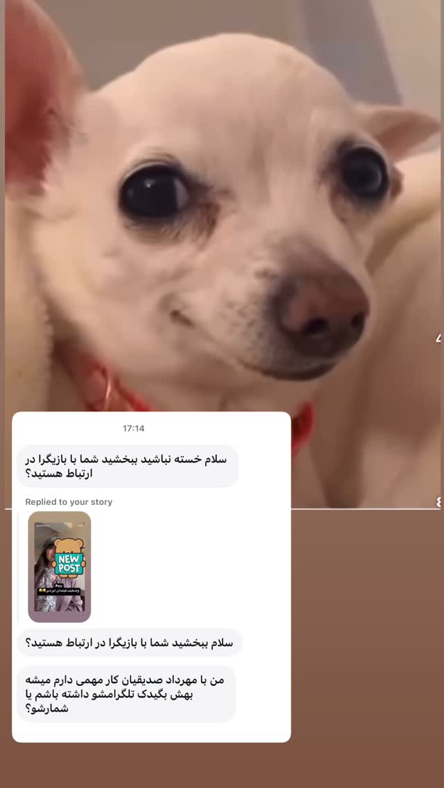  جدید ترین استوری اینستاگرام گلاره مهری