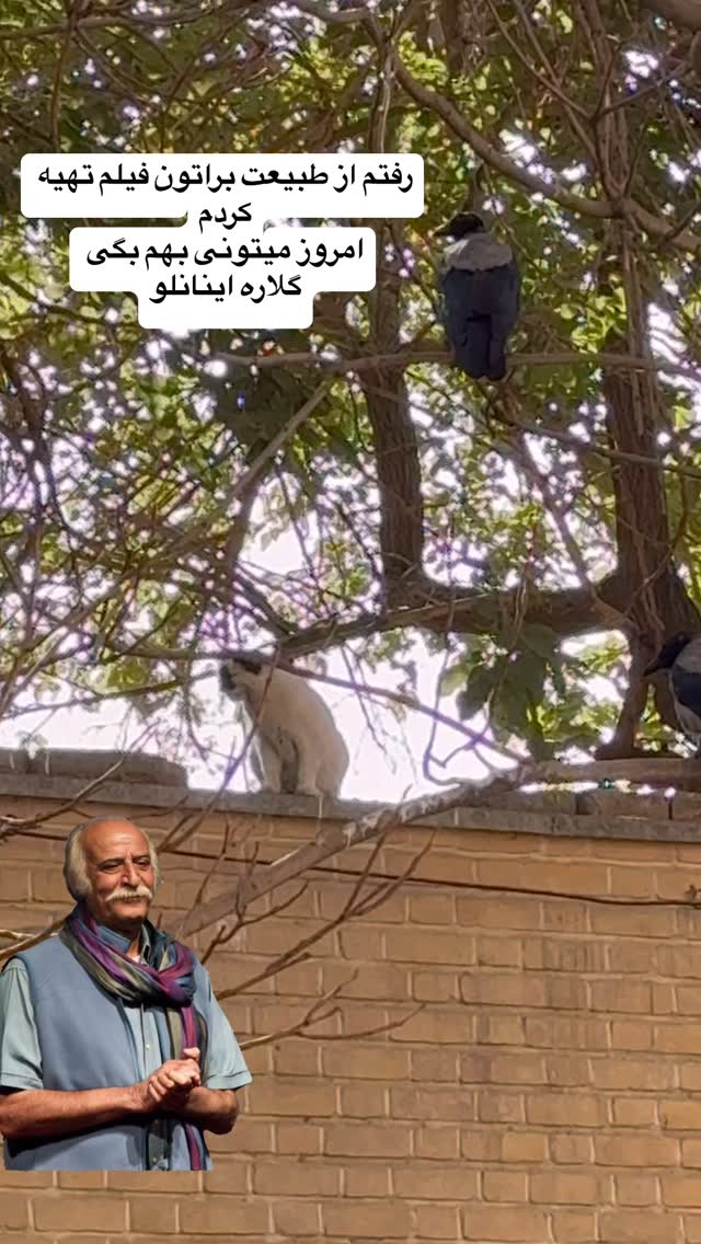  جدید ترین استوری اینستاگرام گلاره مهری