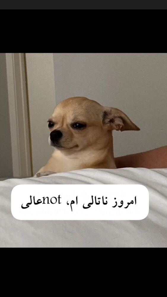  جدید ترین استوری اینستاگرام گلاره مهری
