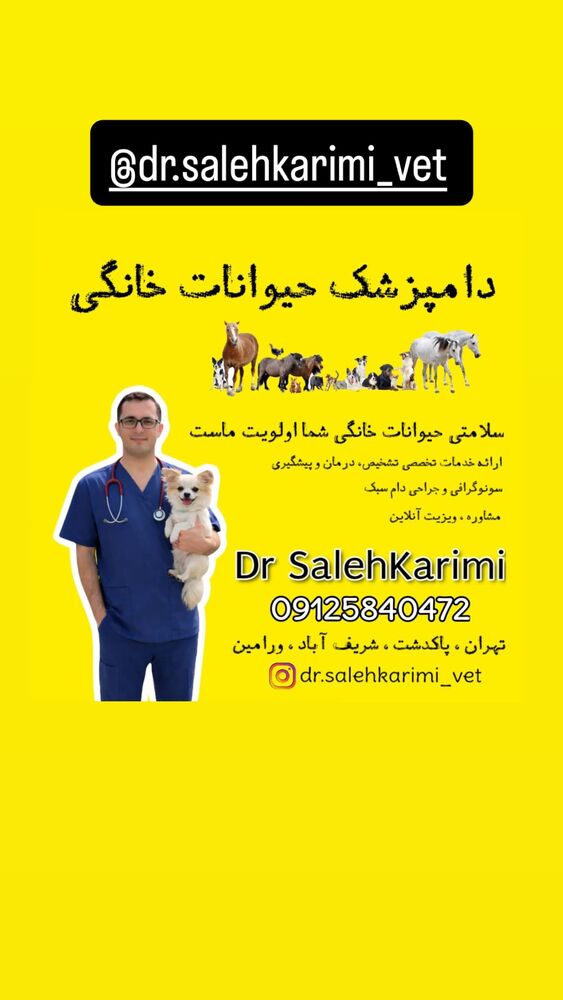  جدید ترین استوری اینستاگرام قاسم کارخانه