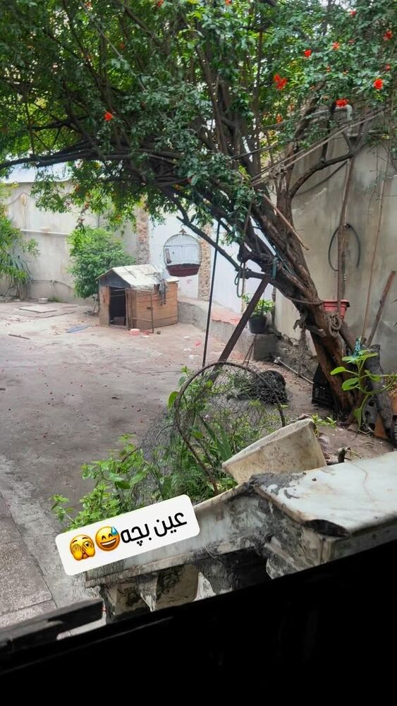  جدید ترین استوری اینستاگرام علی رضا گالش