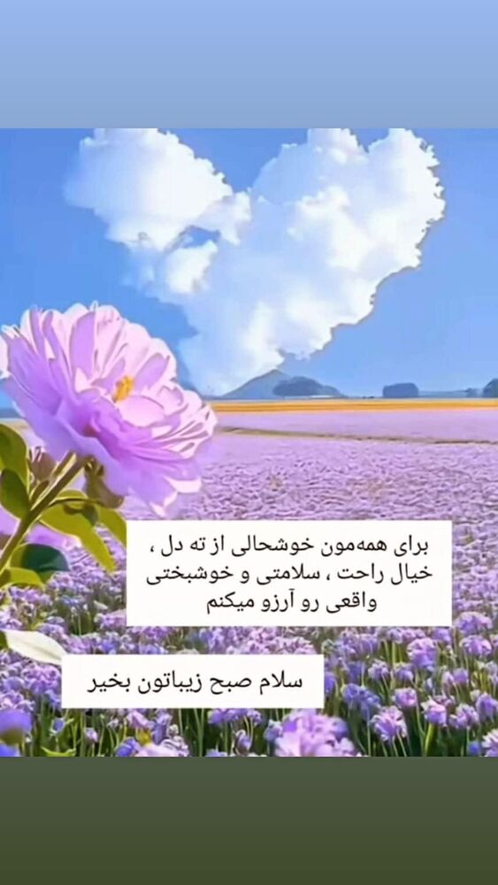  جدید ترین استوری اینستاگرام علی رضا گالش