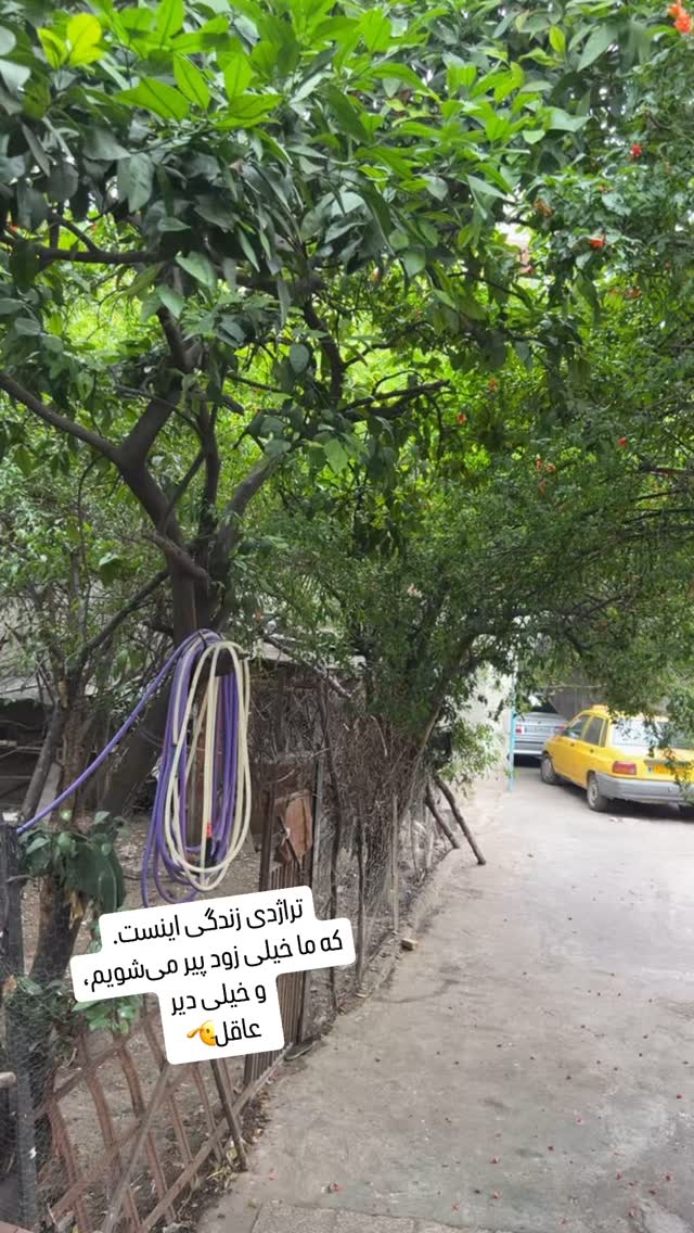  جدید ترین استوری اینستاگرام علی رضا گالش