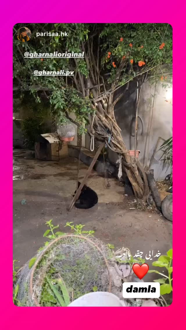  جدید ترین استوری اینستاگرام علی رضا گالش