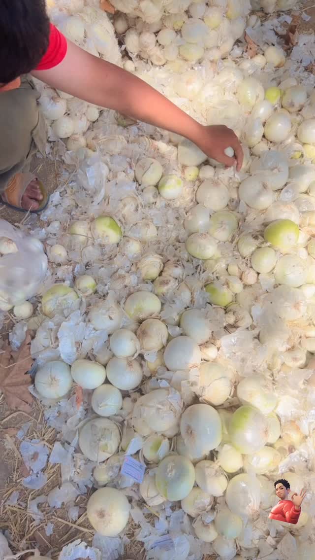  جدید ترین استوری اینستاگرام علی رضا گالش