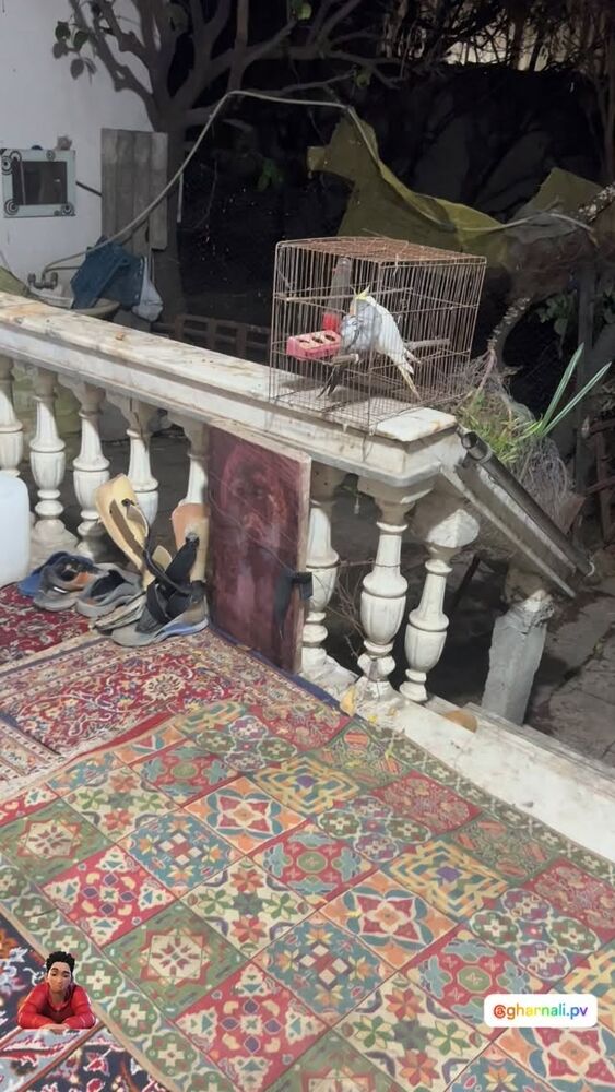  جدید ترین استوری اینستاگرام علی رضا گالش