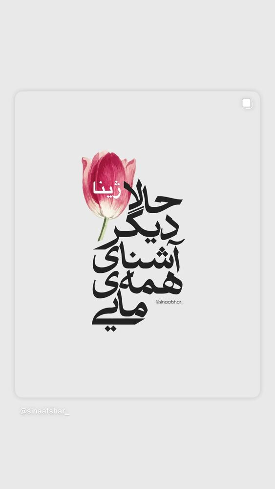  جدید ترین استوری اینستاگرام غزل شاکری