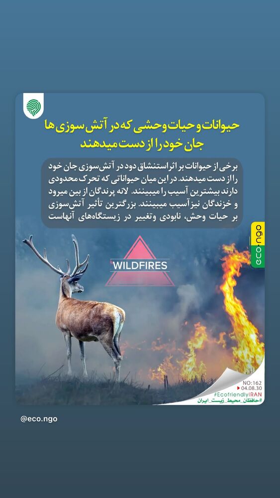  جدید ترین استوری اینستاگرام غزل شاکری