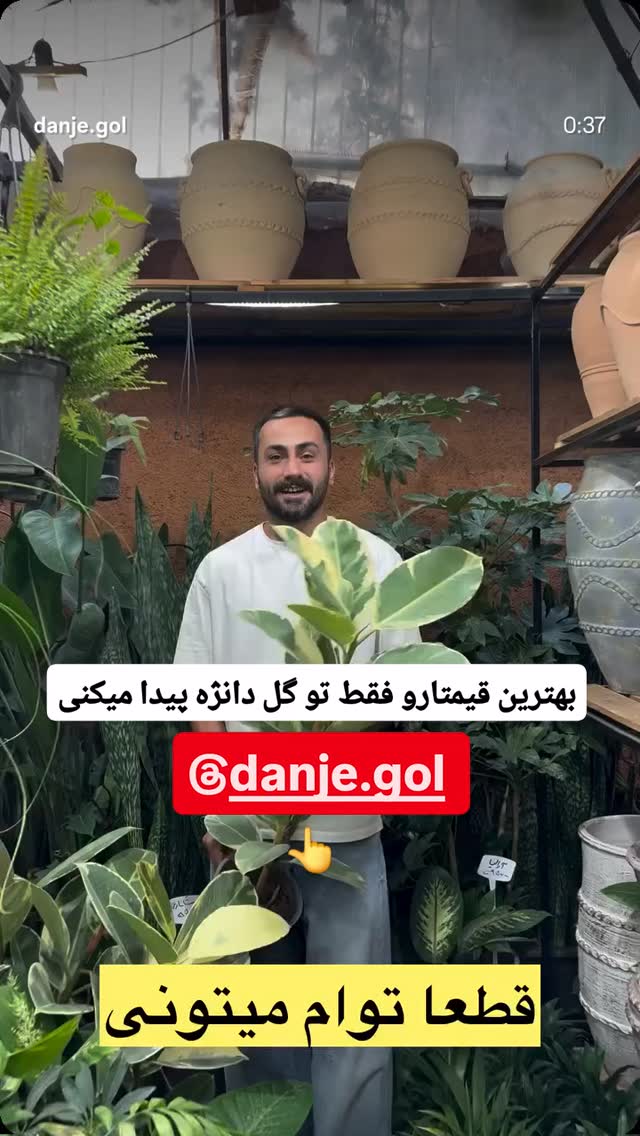 جدید ترین استوری اینستاگرام احسان محبتی